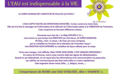 L’importance de BOIRE une EAU VITALISÉE, dite ❝ VIVANTE ❞.