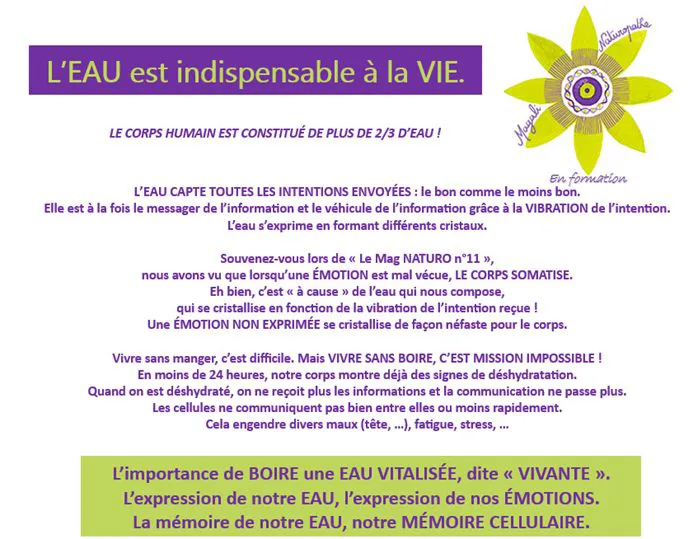 L’importance de BOIRE une EAU VITALISÉE, dite ❝ VIVANTE ❞.