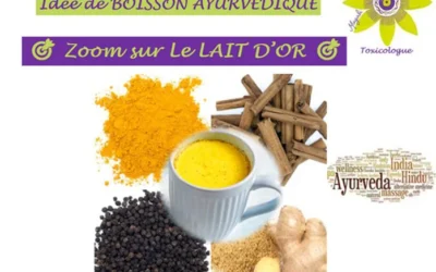Idée de BOISSON AYURVÉDIQUE