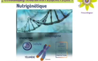 ¿ Connaissez-vous la NUTRIGÉNÉTIQUE ?