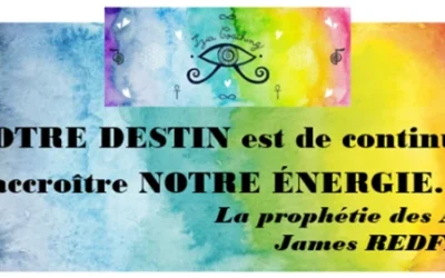 ❝ Notre destin est de continuer à accroître notre énergie… ❞ La prophétie des Andes James REDFIELD