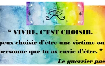 ❝ VIVRE, C’EST CHOISIR. Tu peux choisir d’être une victime ou la personne que tu as envie d’être. ❞ Le guerrier pacifique