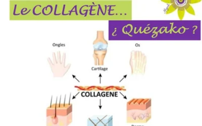 Le COLLAGĂNE⊠¿ QuĂ©zako ?