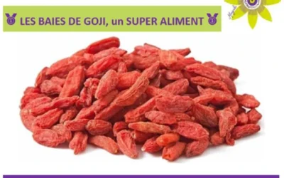 🥇 LES BAIES DE GOJI, un SUPER ALIMENT 🥇