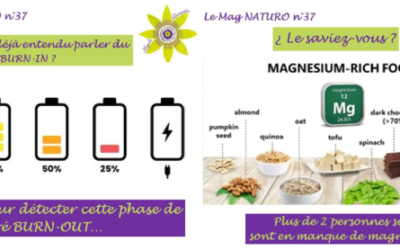 ¿ Avez-vous déjà entendu parler du BURN-IN ?