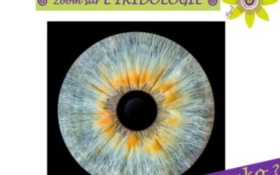 🎯 Zoom sur l’IRIDOLOGIE 🎯 ¿ Quézako ?