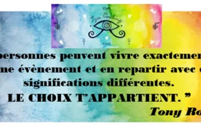 ❝ 2 personnes peuvent vivre exactement le même événement et en repartir avec des significations complètement différentes. Le choix t’appartient. ❞ Tony Robbins