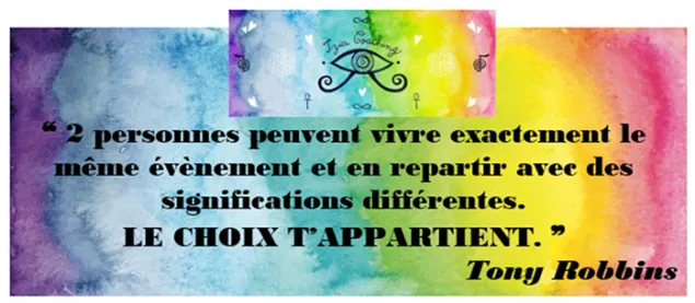 ❝ 2 personnes peuvent vivre exactement le même événement et en repartir avec des significations complètement différentes. Le choix t&rsquo;appartient. ❞  Tony Robbins