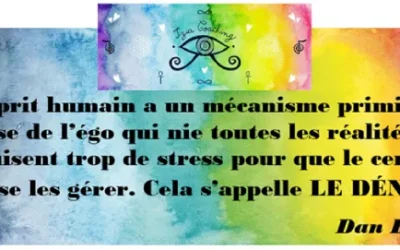  ❝ L’esprit humain a un mécanisme primitif de défense de l’égo… Cela s’appelle LE DÉNI. ❞  Dan Brown