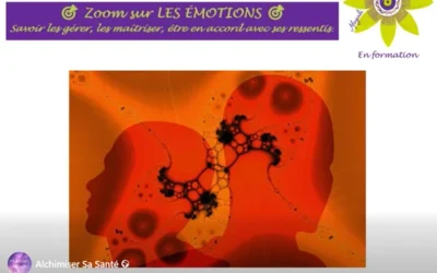 🎯 Zoom sur LES ÉMOTIONS 🎯