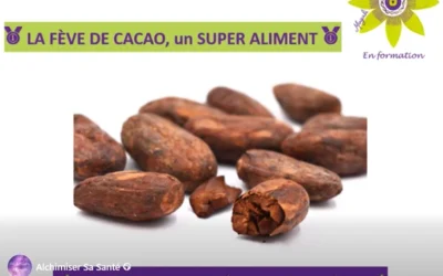 LA FÈVE DE CACAO, un SUPER ALIMENT