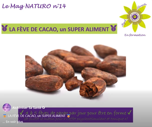 LA FÈVE DE CACAO, un SUPER ALIMENT