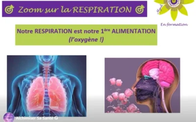 🎯 Zoom sur la RESPIRATION 🎯