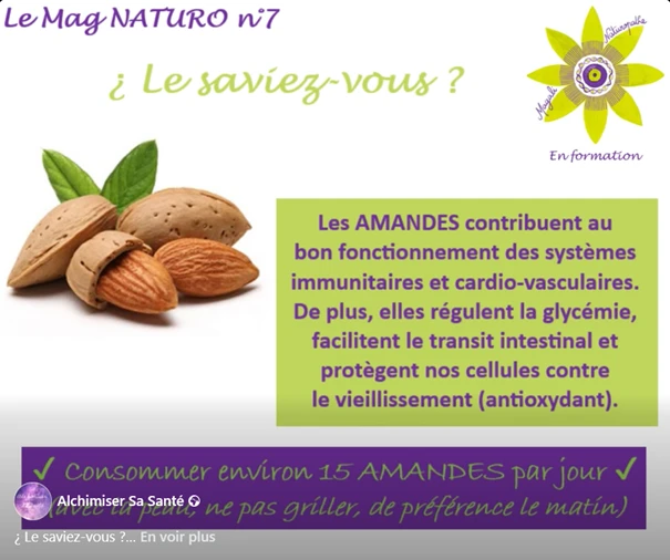 🎯 Zoom sur LES AMANDES 🎯