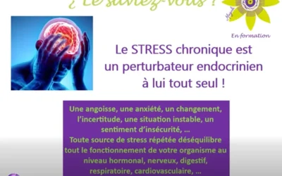Le STRESS chronique est un perturbateur endocrinien à lui tout seul !