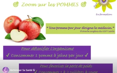🎯 Zoom sur les POMMES 🎯