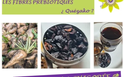 LES FIBRES PRÉBIOTIQUES   ¿ Quézako ?